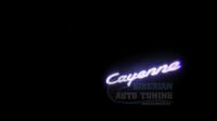 Оригинальная проекция плафон C3 в двери Cayenne в комплекте 2 шт