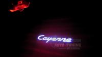 Оригинальная проекция плафон C4 в двери Cayenne в комплекте 2 шт
